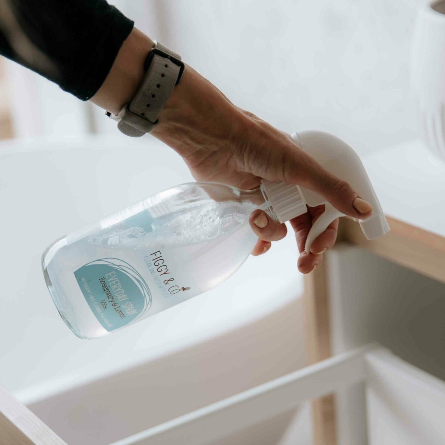 Eco home cleaning products