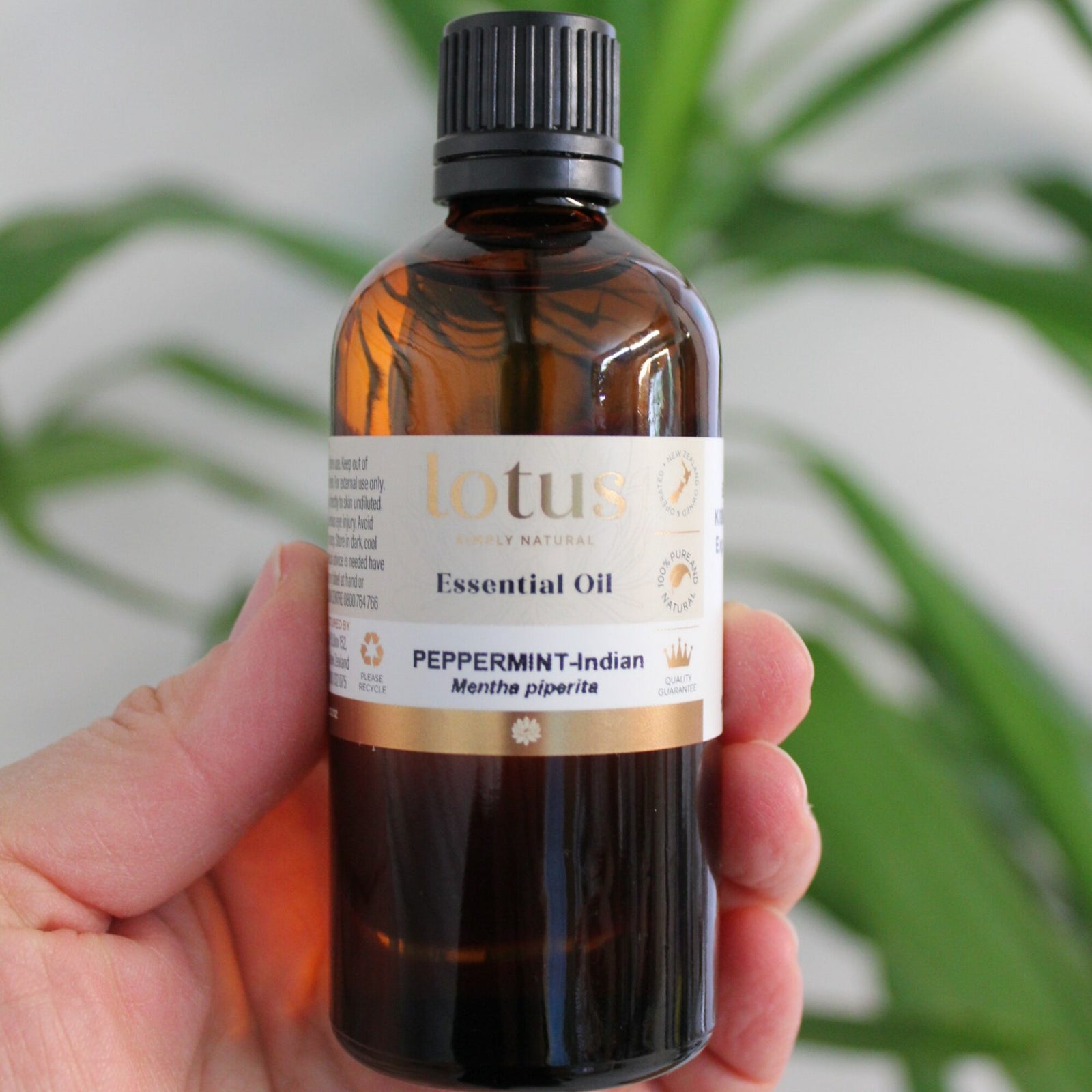 Peppermint essential oil is ideal for home cleaning