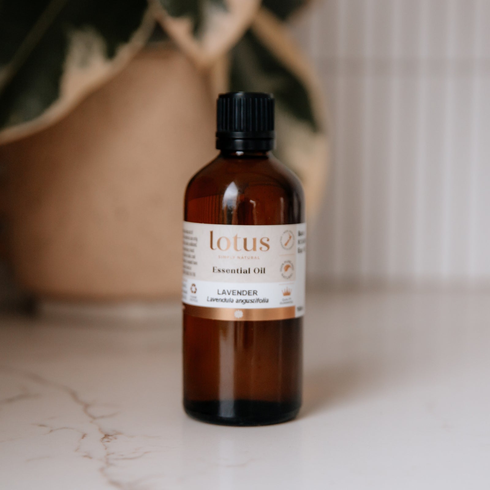 Pure lavender essential oil from Figgy and co