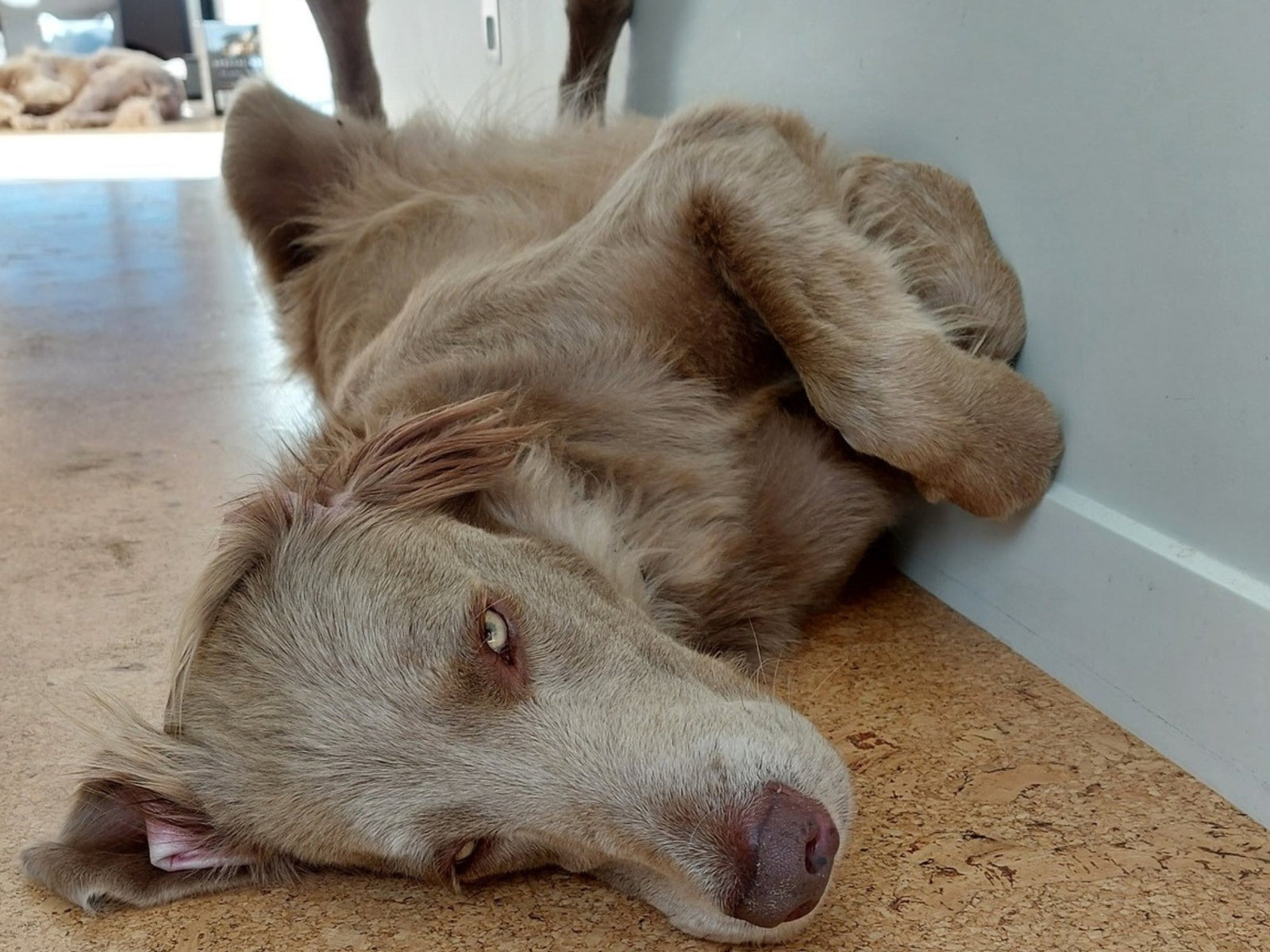 How to clean your walls and skirting boards with natural cleaners
