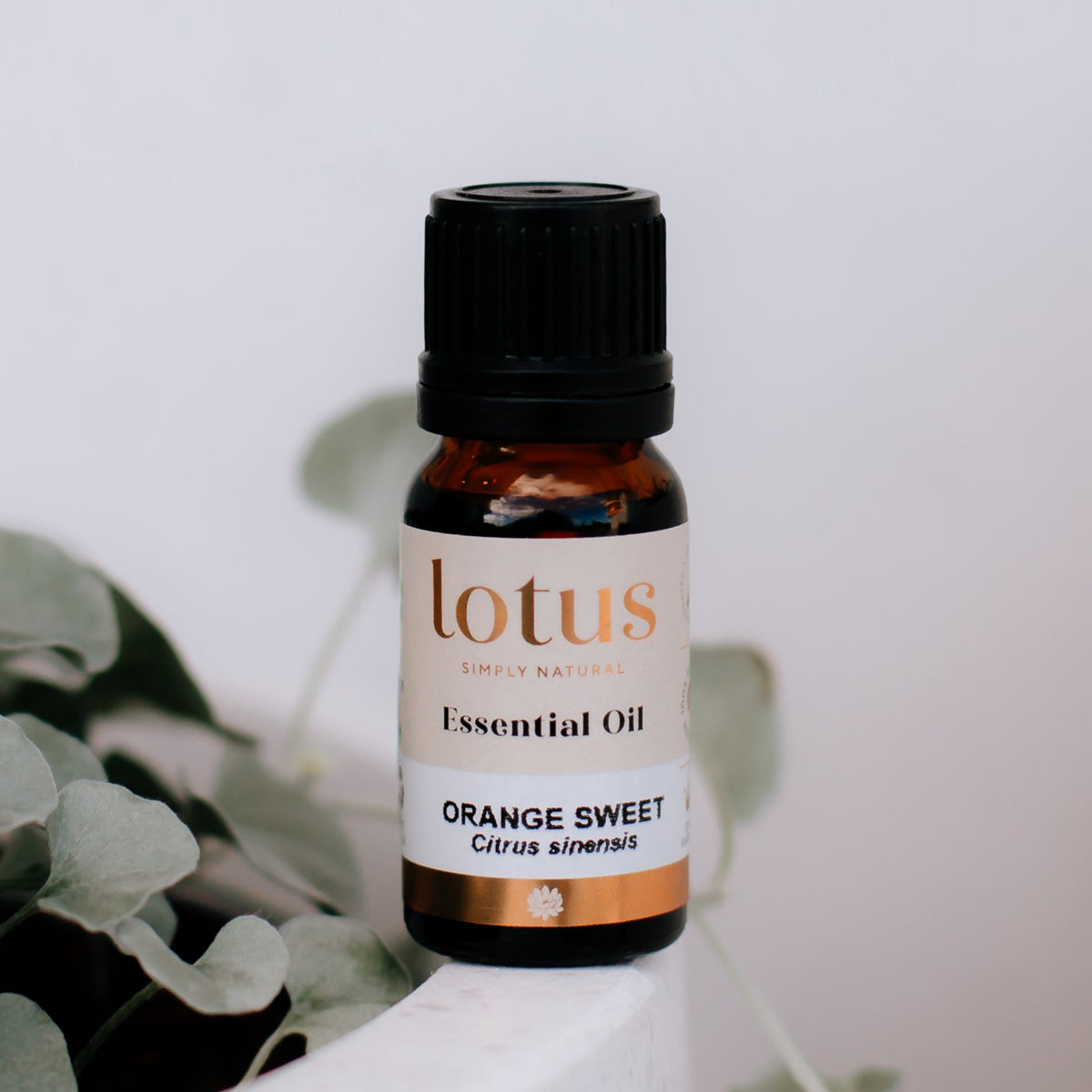 Figgy and Co Orange essential oil for non toxic DIY home cleaners
