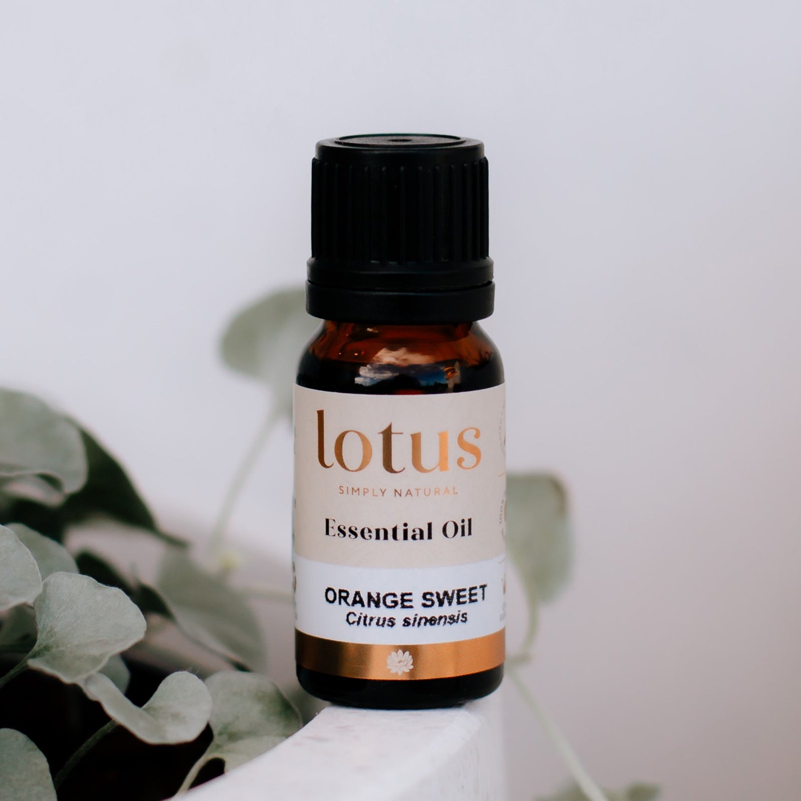 Figgy and Co Orange essential oil for non toxic DIY home cleaners