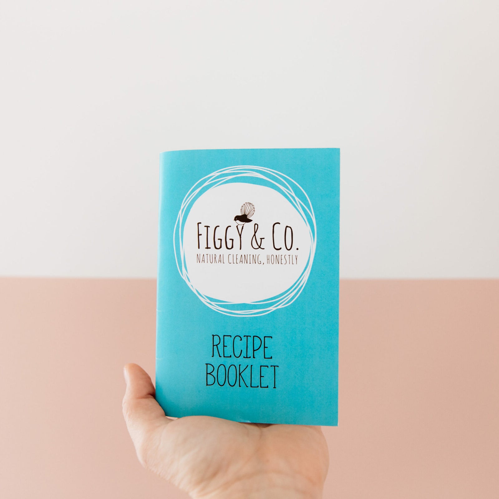 Figgy & Co. Cleaning Recipe booklet