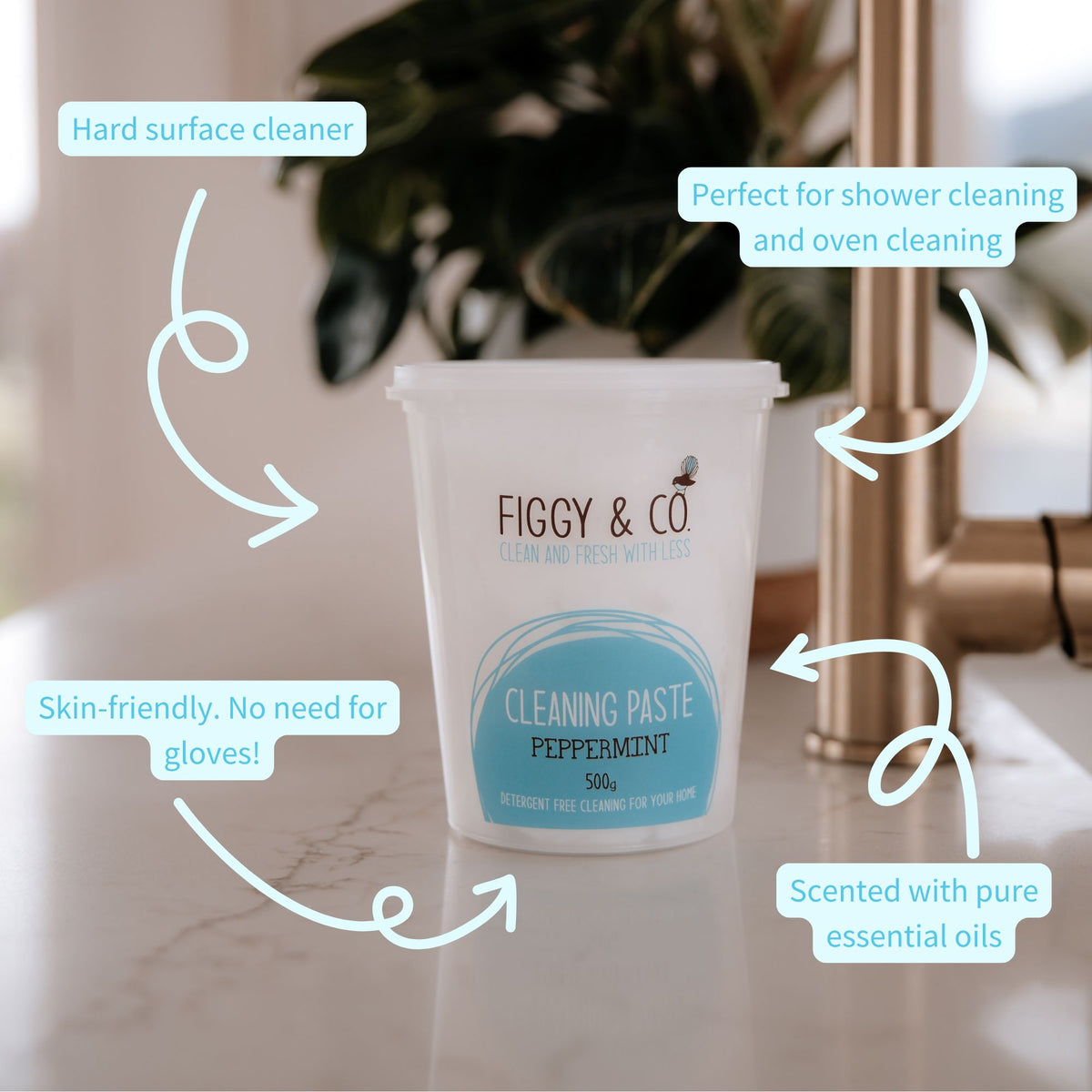 Figgy & Co Cleaning Paste Facts