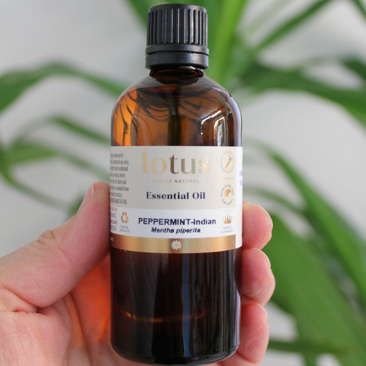 Peppermint essential oil is ideal for home cleaning