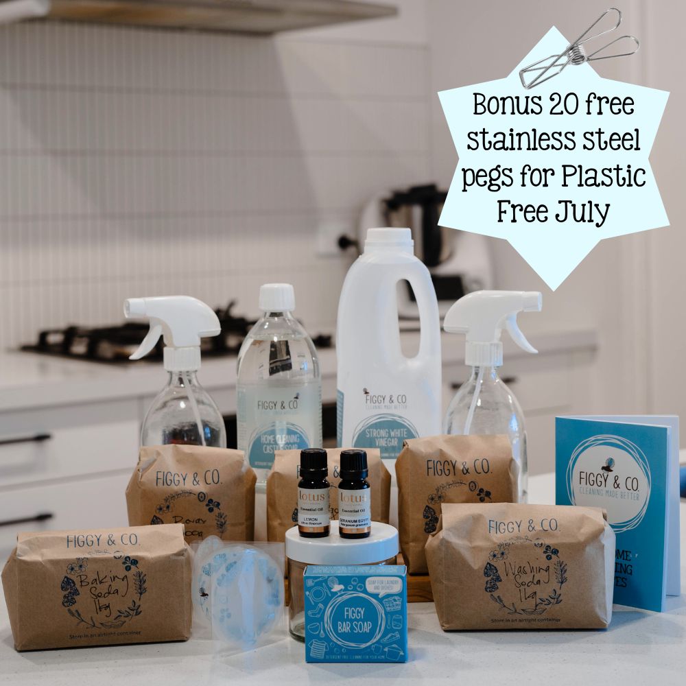 NZ best DIY cleaning kit with stainless steel pegs free gift for plastic free july