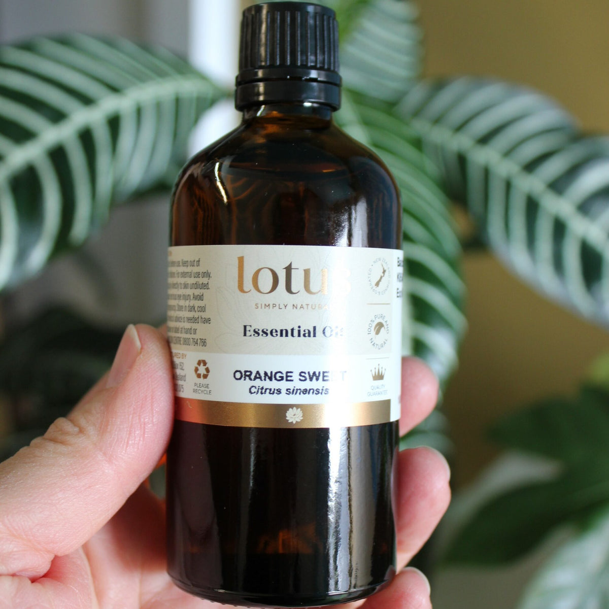 Sweet orange essential oil in a large 100ml bottle